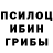 Псилоцибиновые грибы Psilocybe Arturs Skaidins