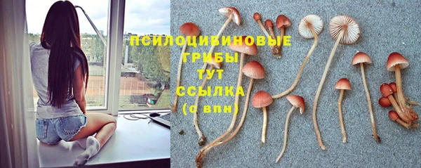 герыч Ельня
