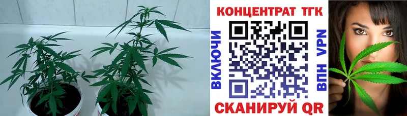 Купить где  Горбатов  Дистиллят ТГК THC oil 