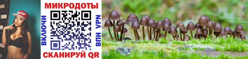 Галлюциногенные грибы GOLDEN TEACHER Купить Горбатов